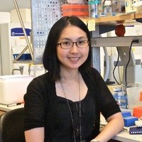 Dr. Wen-Hsuan Lin