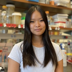 Cindy Ma, MPH